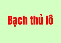 Bạch thủ lô khung 3 ngày đánh bay đi sự rủi ro