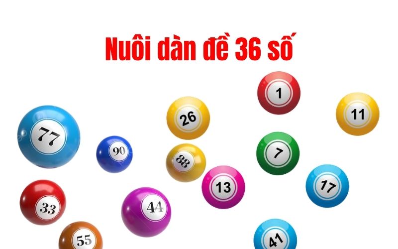 Nuôi dàn đề 36 số khung 3 ngày miễn phí