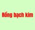 Nuôi lô rồng bạch kim 5 ngày không bao giờ thua