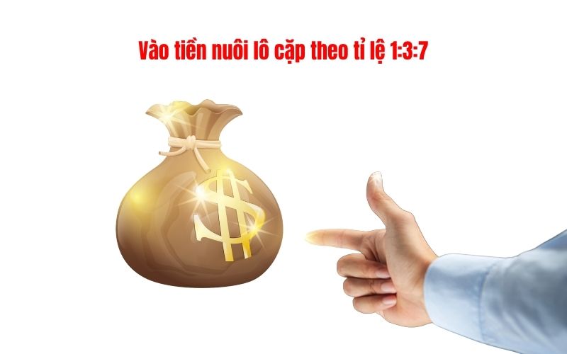 Vào tiền nuôi lô cặp theo tỉ lệ 1:3:7